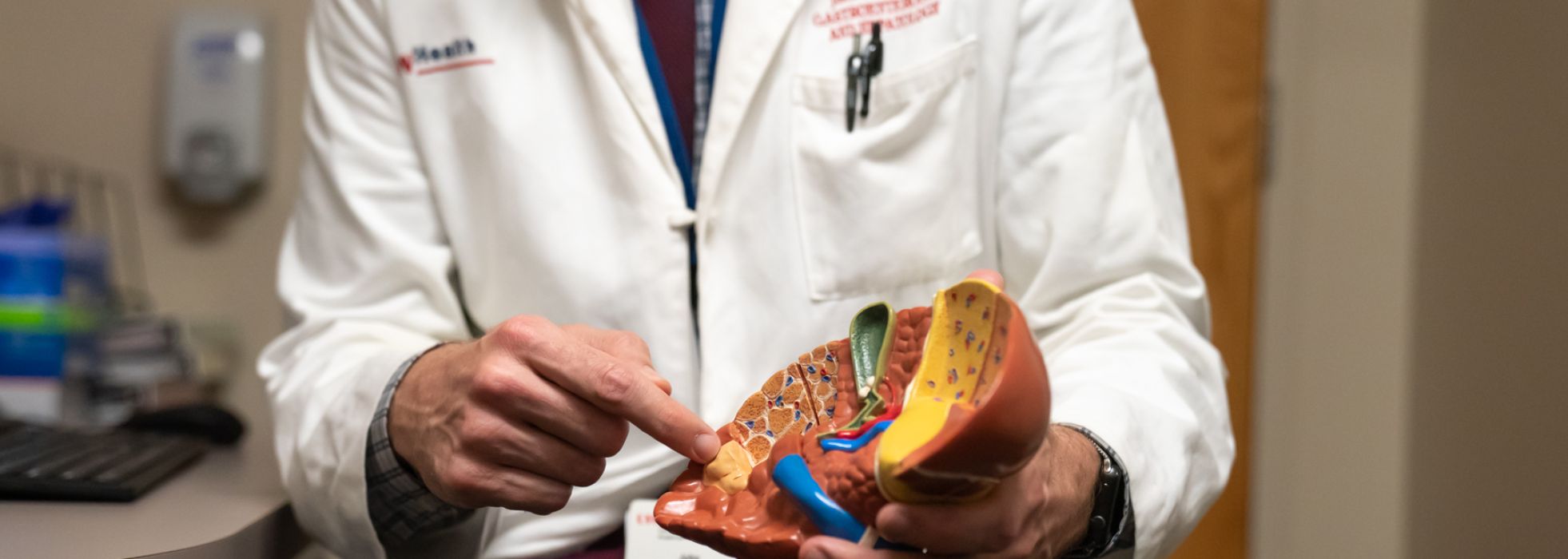 John Rice points to a spot on a model of a liver